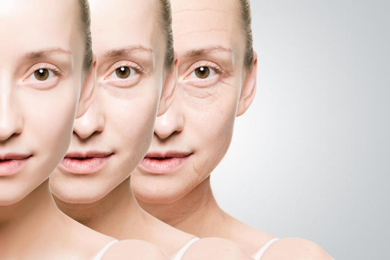 Hyaluronik Asit Lip Gel Enjeksiyonlar Göz kırışıkları Sentetik Hyaluronik Asit Dermal Dolgu